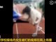实拍自贡中学操场一女生被多名女生殴打 网友不认可通报