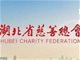 武汉慈善总会27亿善款上缴市财政引争议