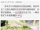 机票49元不如一棵白菜贵!疫情下航空业遭重创