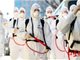 韩国“一罩难求”!八旬老人:凌晨4点排队7小时买5只