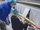 可使用10次以上 浙江研发替代“熔喷布”防疫新材料
