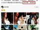 韩红方发声明否认力挺徐开骋