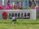 网传境内交易所窗口指导券商、基金交易 上交所回应